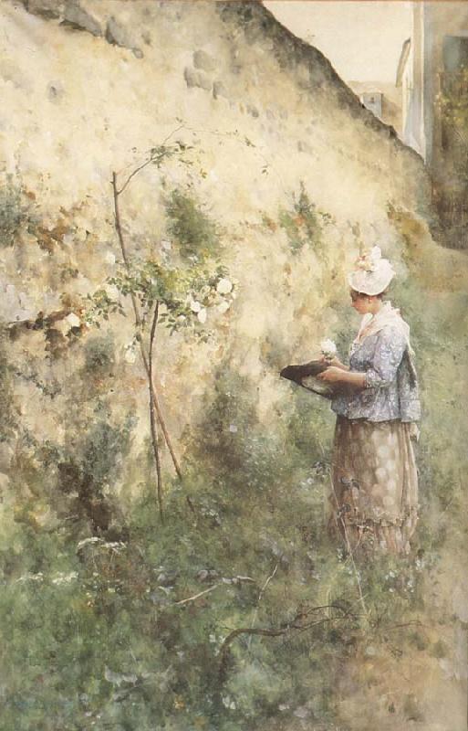 Carl Larsson The Old Wall